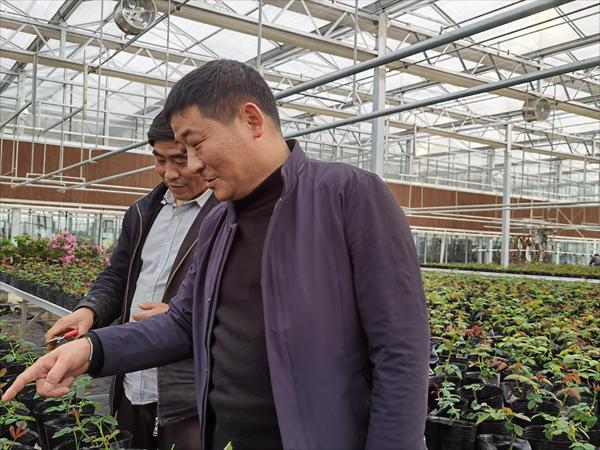 諸新良和農(nóng)戶一起研究花木種植技術(shù)。受訪者供圖