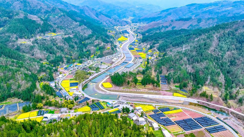 挑起“金扁擔(dān)” 大巴山“美食”走向海內(nèi)外